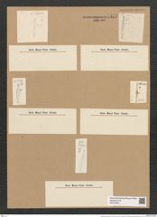 Fragilaria tenuicollis Heib. (de-Toni-Nr.: Genus 73, Species 2719) Zeichnungen Sammlung Grunow Nr. 5571 (NHMW-BOT-W0374040)